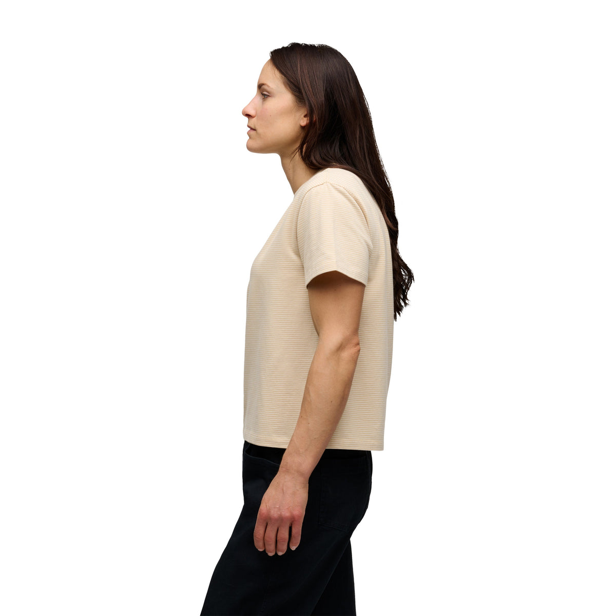 Women's BD Stripe Short Sleeve Tee Long | Black Diamond Classic
