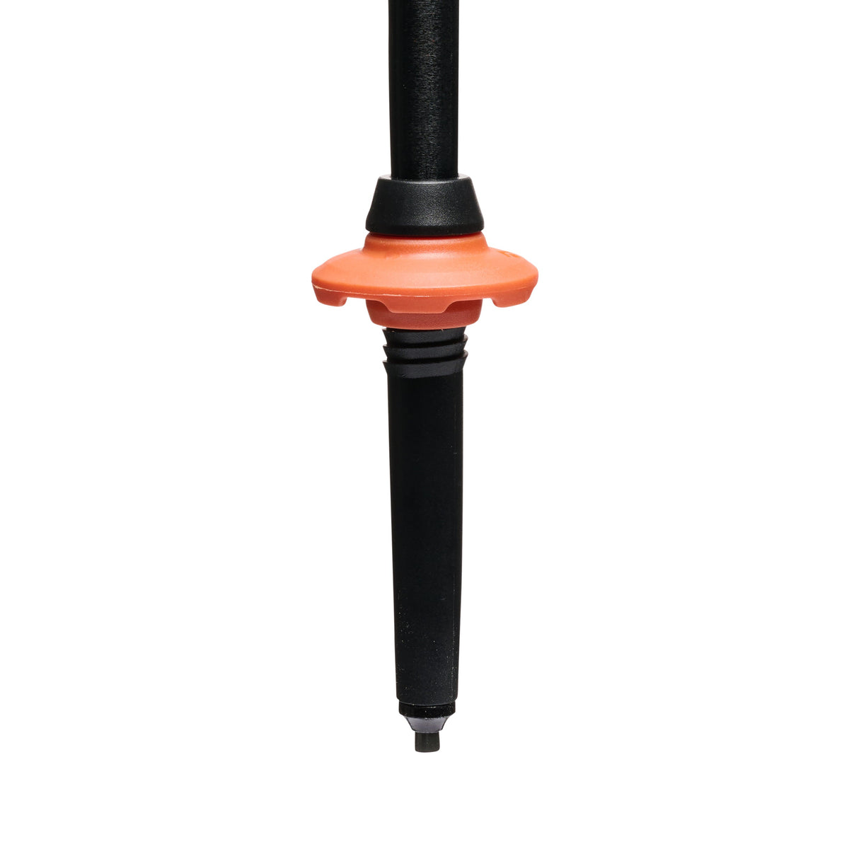 Trail Cork Trekking Poles | Black Diamond Recommended