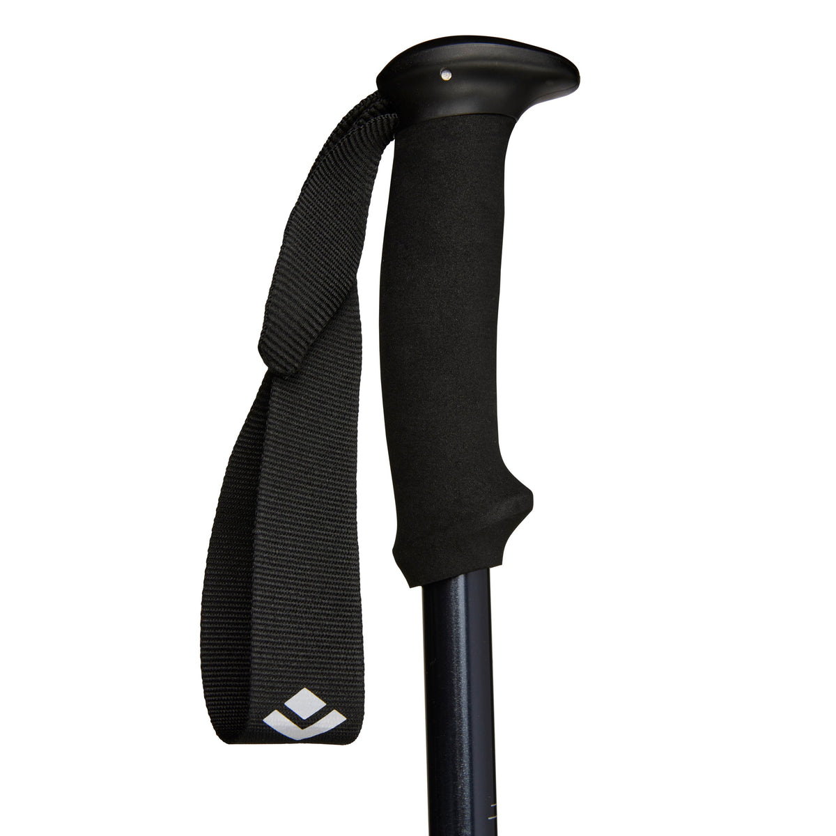 Explorer 2 Trekking Poles | Black Diamond Trending