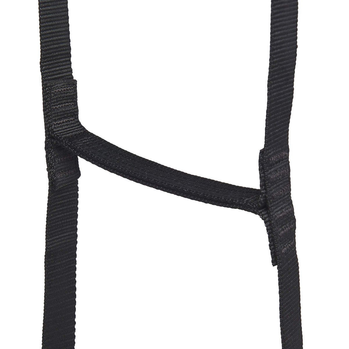StepUp 6 Ladder | Black Diamond Best Seller