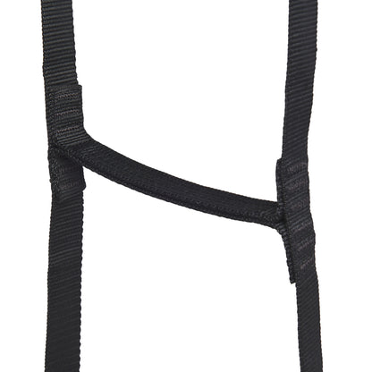 StepUp 6 Ladder | Black Diamond Best Seller
