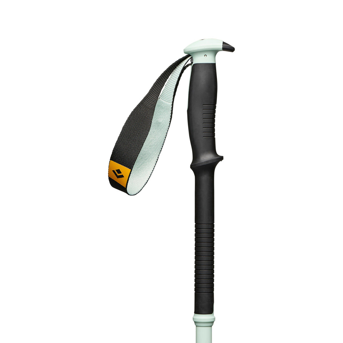 Traverse Pro Ski Poles | Black Diamond Everyday