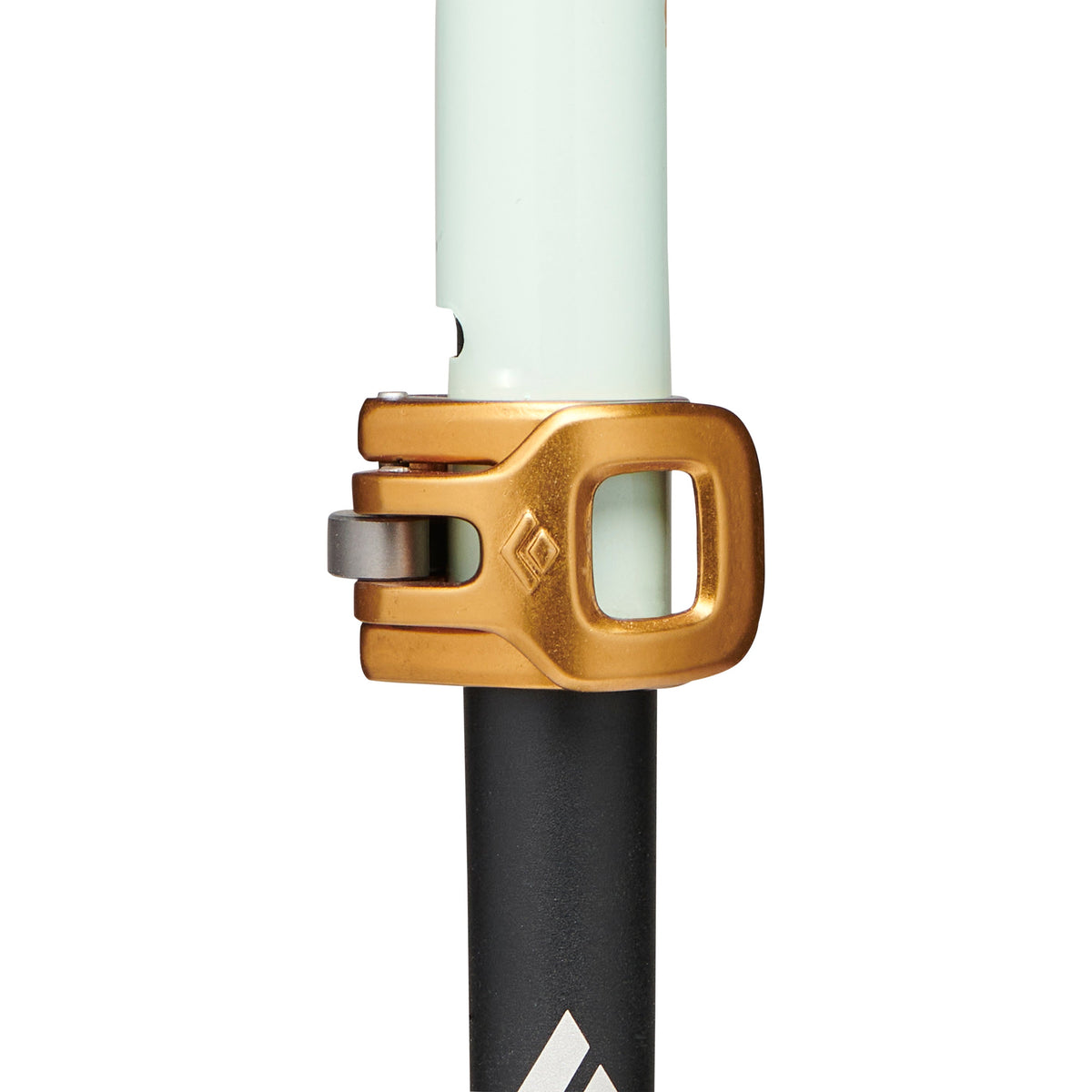 Traverse Pro Ski Poles | Black Diamond Everyday