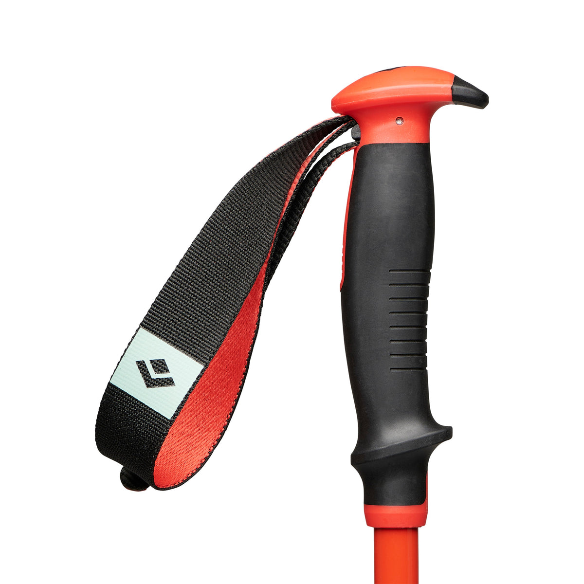 Traverse Ski Poles - Past Season | Black Diamond Signature