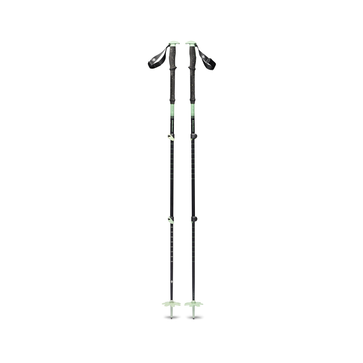 Expedition 3 Ski Poles | Black Diamond Best Seller